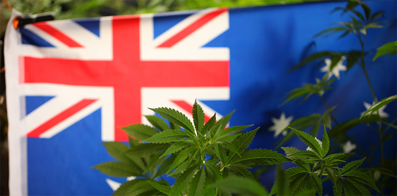 Australia Cannabis Flag