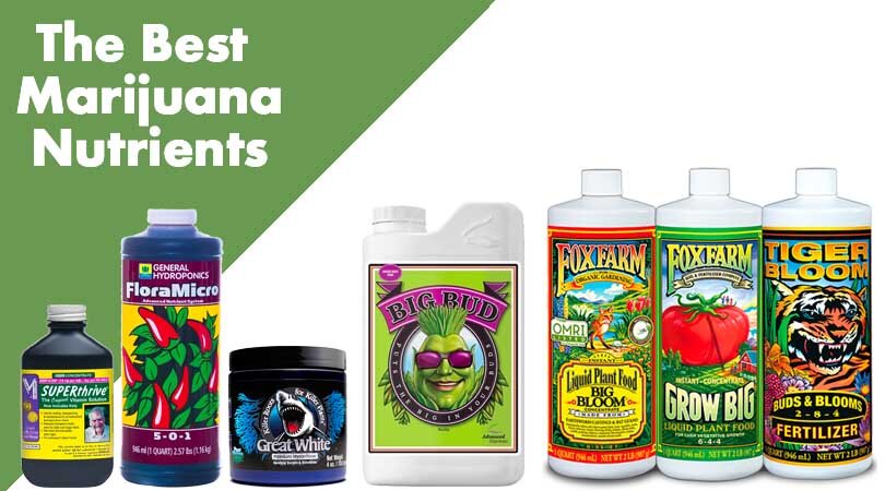 Best Marijuana Nutrients Cover Photo