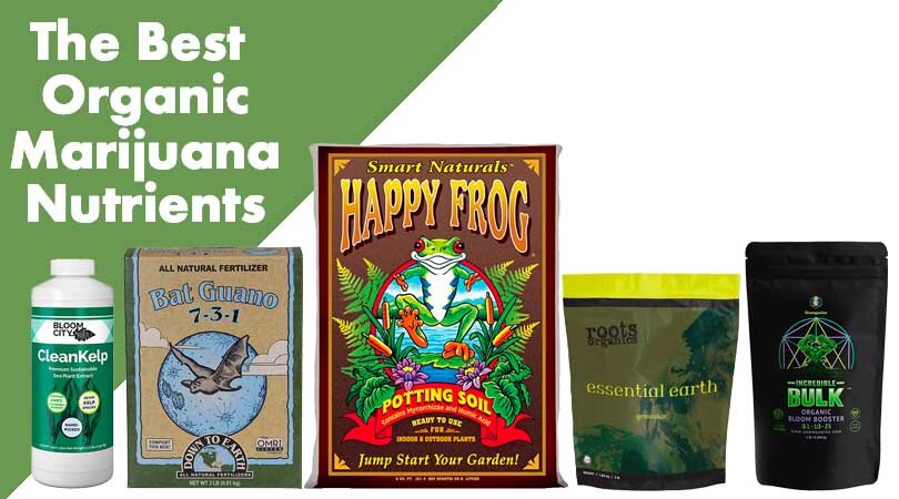 Best Organic Marijuana Nutrients Cover Photo