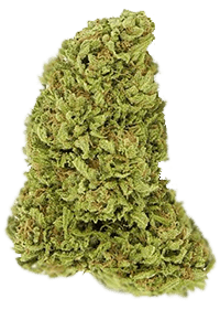 Blackberry marijuana seeds
