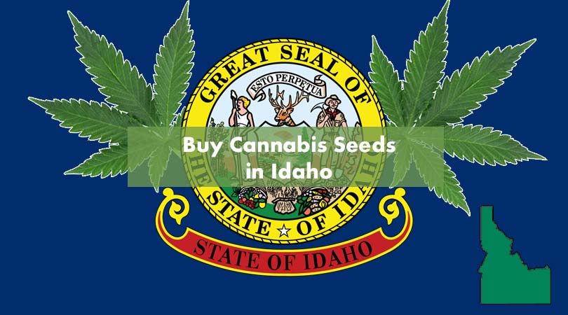 Buy Cannabis Seeds in Idaho Cover Photo