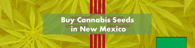 Buy Cannabis Seeds in New Mexico Featured Image