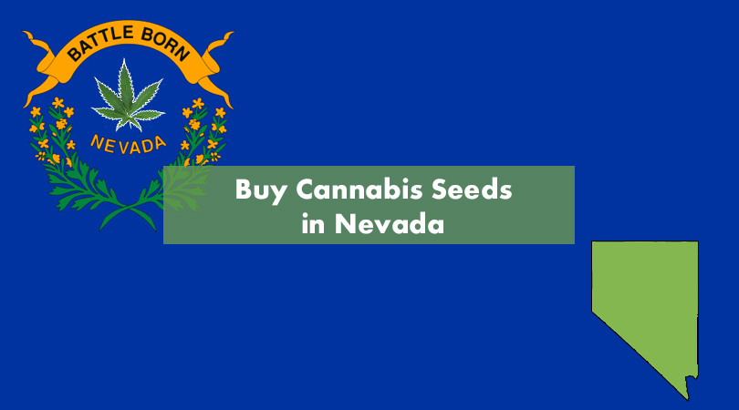 Buy Cannabis in Nevada Cover Photo