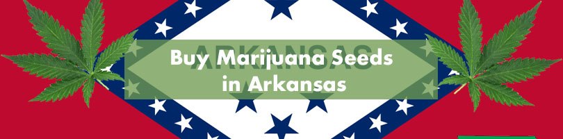 Buy Marijuana Seeds in Arkansas Featured Image