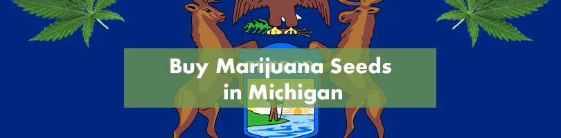 Buy Marijuana Seeds in Michigan Featured image