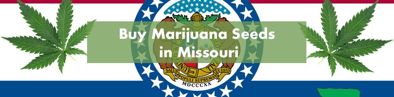 Buy Marijuana Seeds in Missouri Featured Image