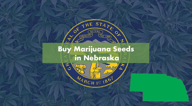 Buy Marijuana Seeds in Nebraska Cover Photo