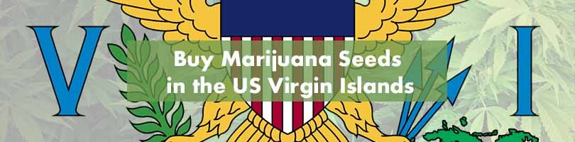 Buy Marijuana Seeds in the US Virgin Islands Featured Image