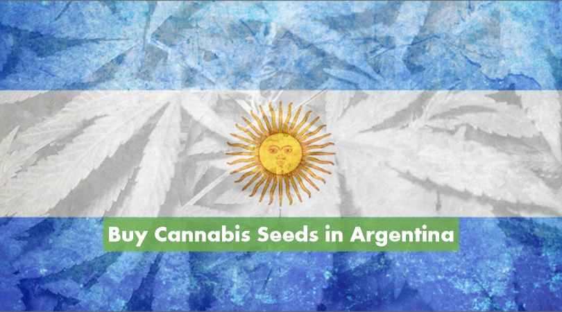 Buy Cannabis Seeds in Argentina