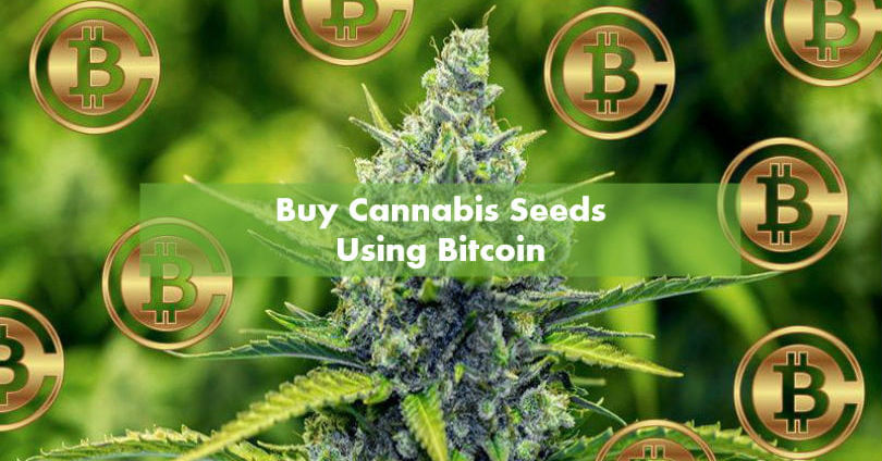 buy thc bitcoin