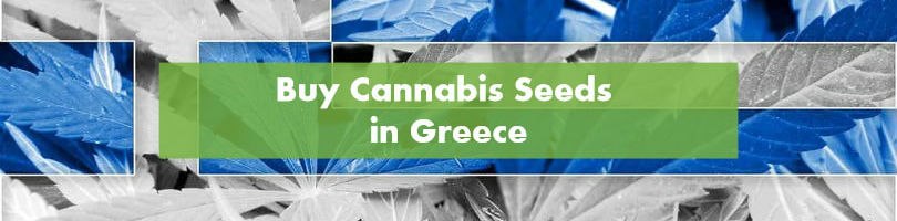 Buying Cannabis Seeds in Greece