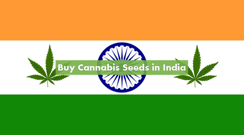 best website to buy marijuana with bitcoin