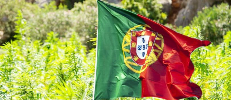 Buy Cannabis Seeds in Portugal