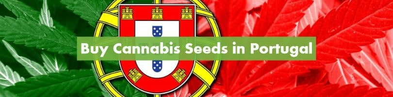 Buy Cannabis Seeds in Portugal