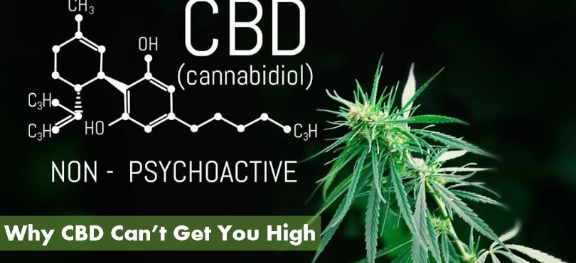Why CBD Can’t Get You High