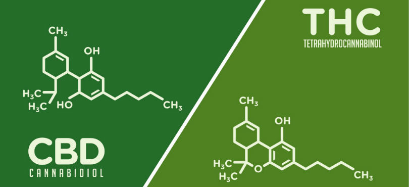 CBD and THC