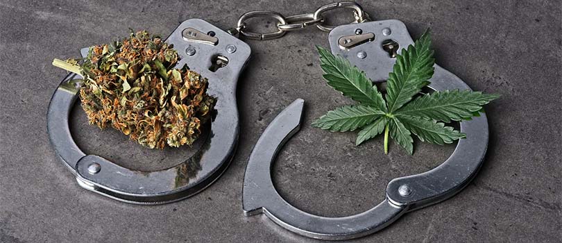 Cannabis Decriminalization