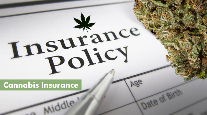 Cannabis Insurance Cover Photo