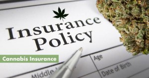 Cannabis Insurance Featued Image