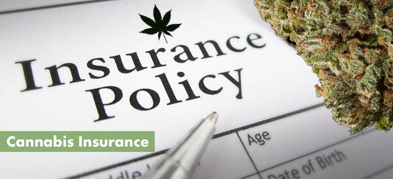 Cannabis Insurance Featued Image