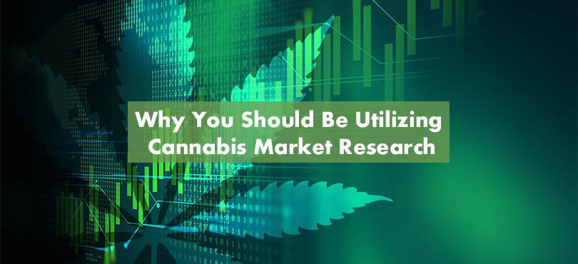 Cannabis Market Research Firms Featured Image