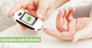 Cannabis and Diabetes