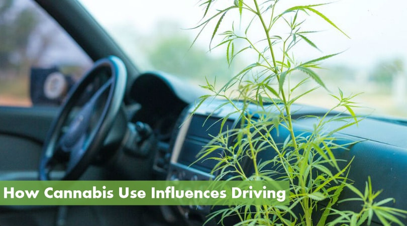 How Cannabis Use Influences Driving