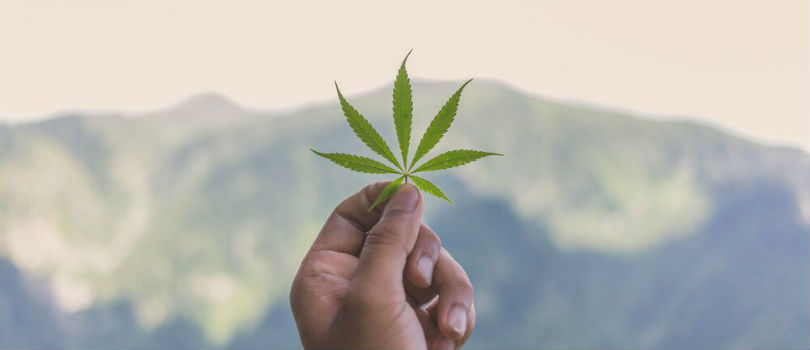 How Cannabis and Global Warming Impact Each Other