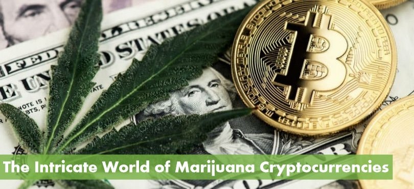 crypto currency linked to marijuana