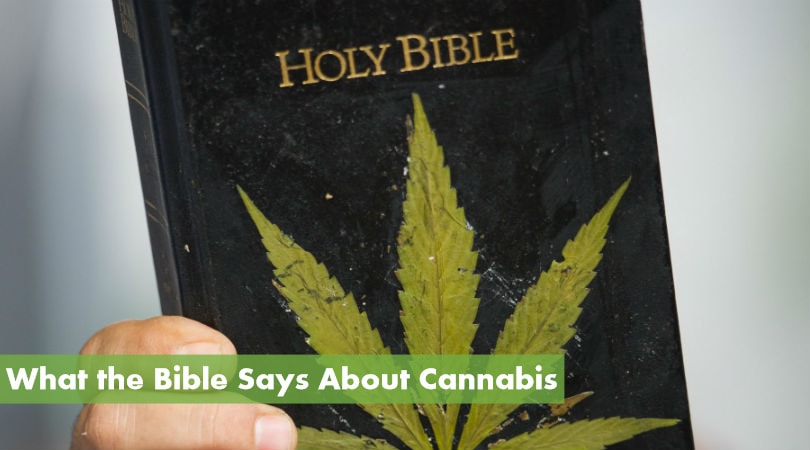 What the Bible Says About Cannabis