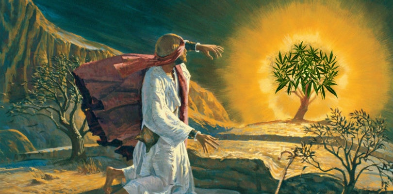 What the Bible Says About Cannabis