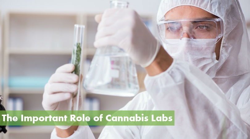 The Important Role of Cannabis Labs