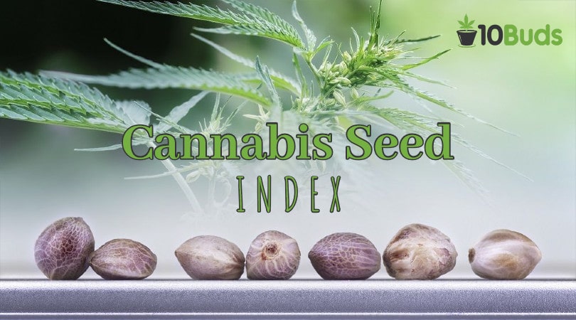 Cannabis Seed Index Cover Image