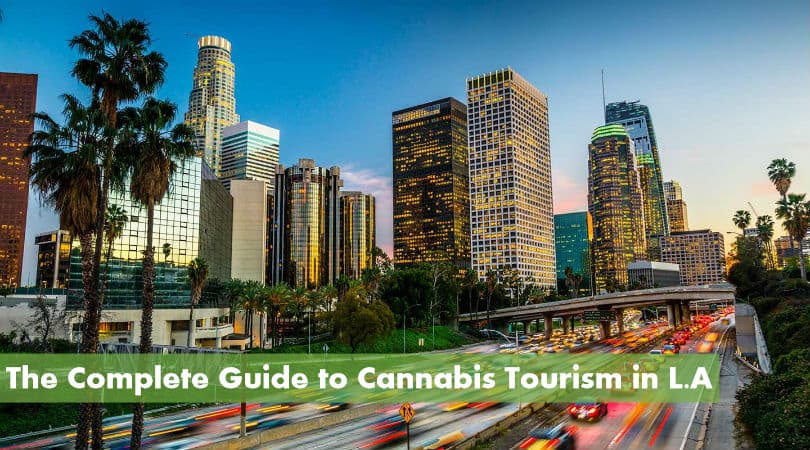 The Complete Guide to Cannabis Tourism in Los Angeles