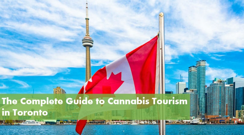 The Complete Guide to Cannabis Tourism in Toronto