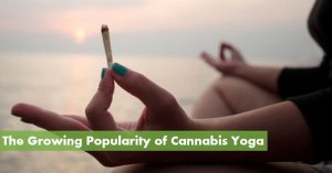 Cannabis Yoga