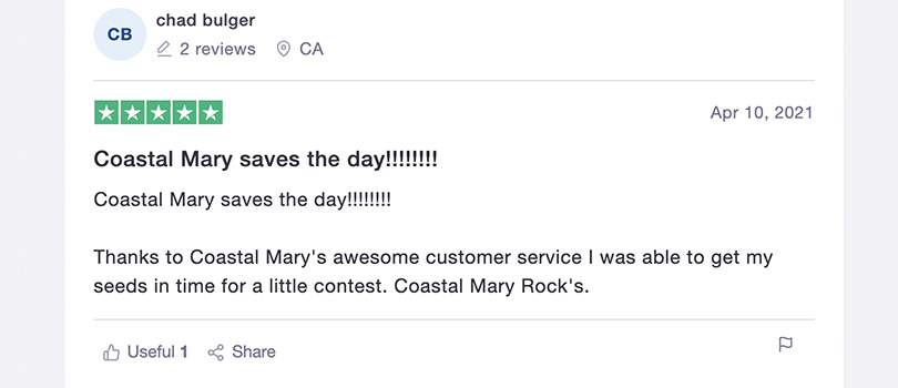 Coastal Mary Customer Opinion