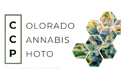 Colorado Cannabis Photo logo