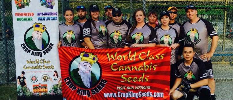 Crop king Seeds Team