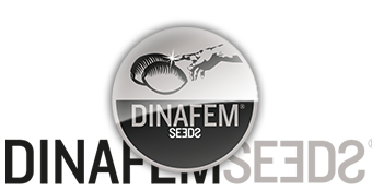 Dinafem Seed Bank Logo