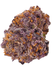 Granddaddy Purple Seeds Bud