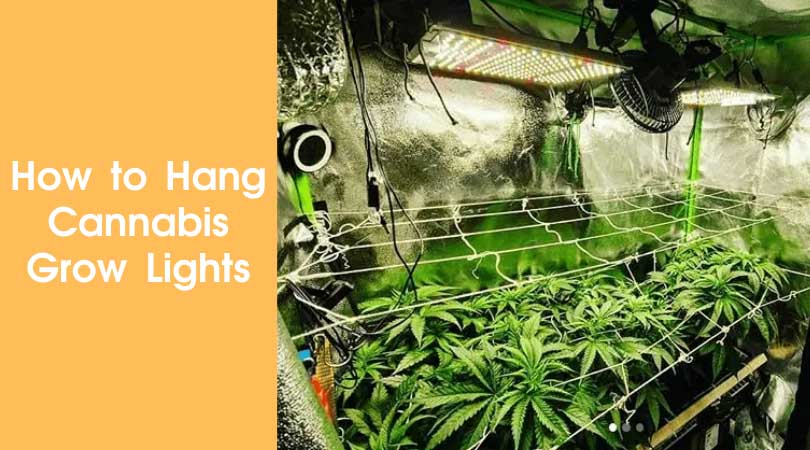 How to Hang Cannabis Grow Lights Cover Photo