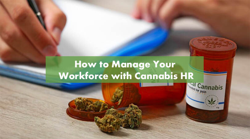 How to Manage Your Workforce with Cannabis HR Cover Photo