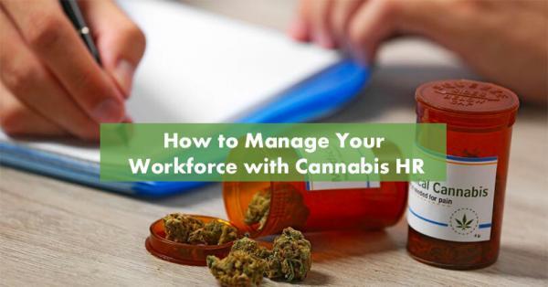 How to Manage Your Workforce with Cannabis HR Featured Image
