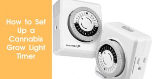How to Set Up a Cannabis Grow Light Timer Featured Image