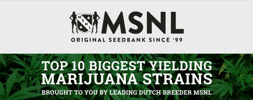 Marijuana-Seeds.NL (MSNL) Banner