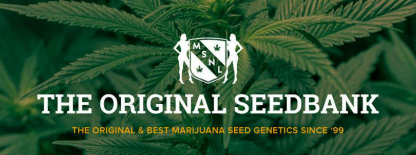 Marijuana-Seeds.NL (MSNL) Banner