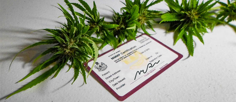 Maine Medical Marijuana Card