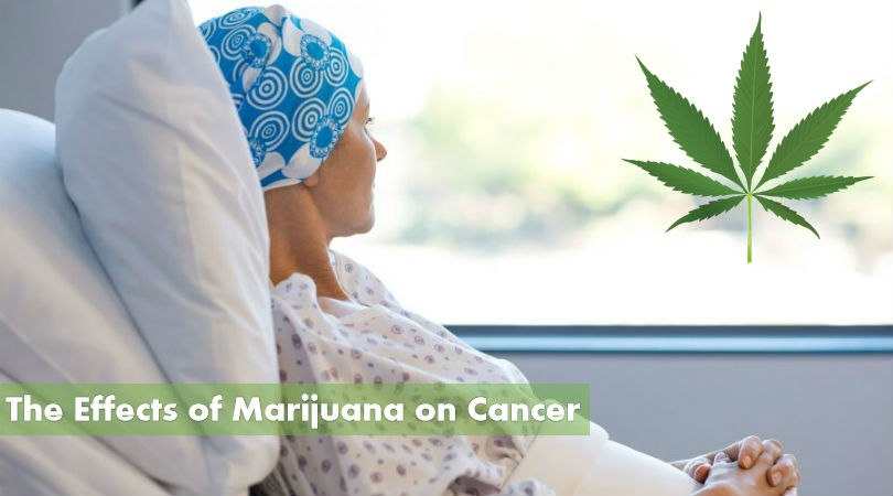 Cannabis and Cancer