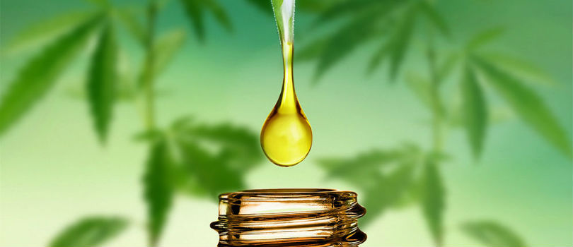 CBD Oil